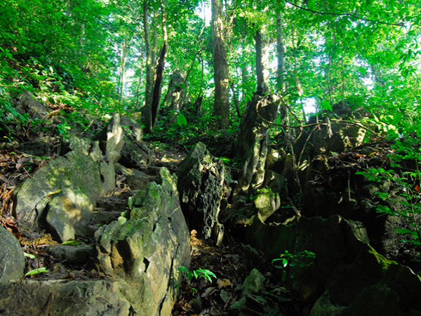 Ninh Binh & Cuc Phuong 3 days | Vietnam Tours