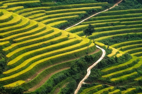 Discover the colorful markets of Sapa and Bac Ha in your Vietnam tour