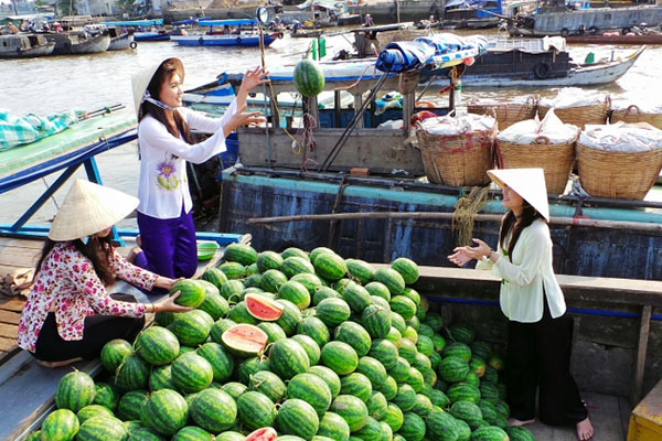 BEST MEKONG DELTA TOURS FROM HOCHIMINH | TSA