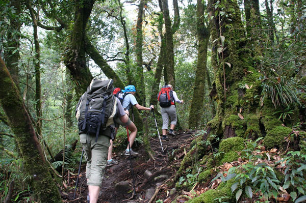 Tips on Trekking in Vietnam
