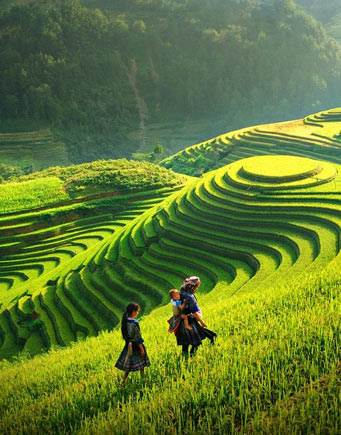 NORTH VIETNAM TOURS - 7 DAYS ITINERARY TRAVEL NORTHERN TOUR