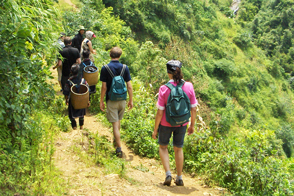 WHAT ARE THE BEST HIKING TRAILS?