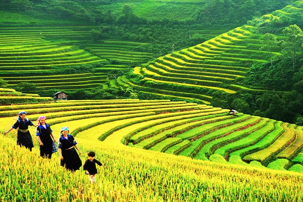 WHAT ARE THE BEST NORTH VIETNAM TOURS | TSA