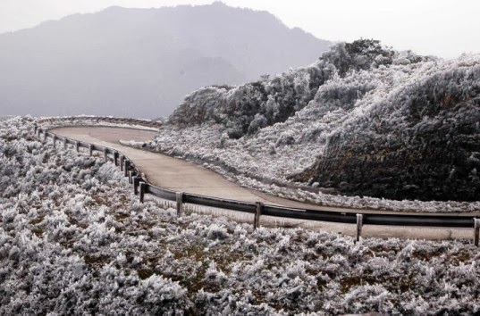 Snow falls - From: Đất Việt