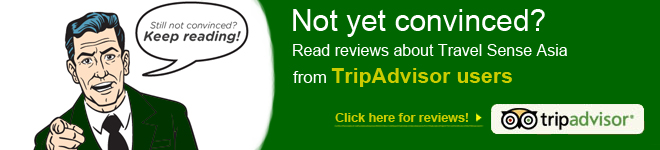 Travel Sense Asia tripadvisor