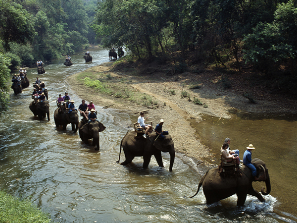 Chiang Dao Elephant Camp