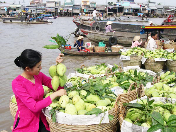 vinhlong market