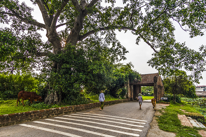 hanoi Duong Lam ancient village hanoi day trip